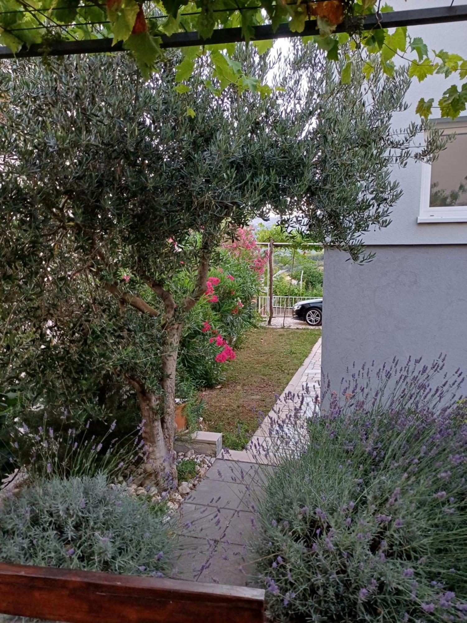 Apartment Sano بودْسْتغانا الغرفة الصورة